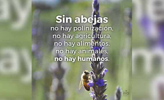 "Las abejas"