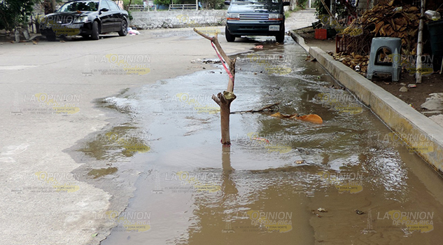 Casi un mes y sigue la fuga de agua