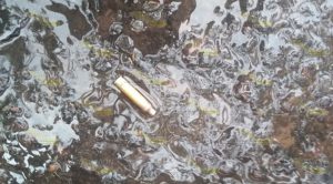 Acribillado y muerto en la capital de Veracruz Acribillan Sujeto Mercado Xalapa