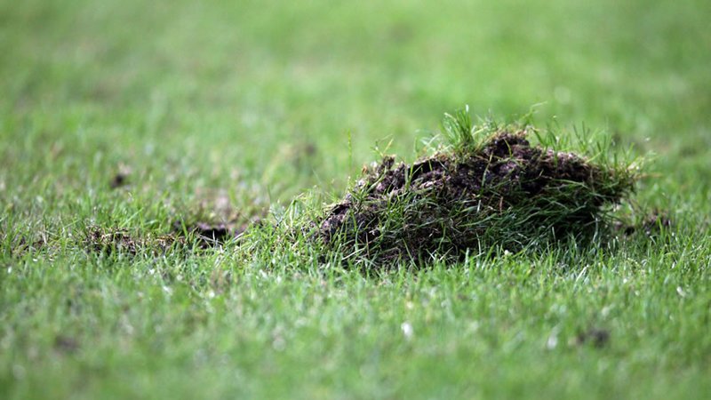 Explican razones del ‘potrero’ en el Azteca; la cancha estará lista en un mes