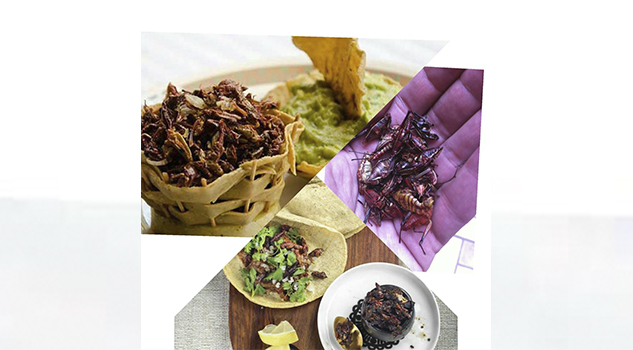 Los Chapulines, comida ancestral