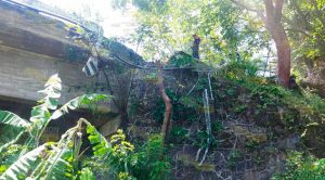 Camión cae al río debajo del puente Tomata en Tlapacoyan Camión Cae Río Debajo Puente Tomata Tlapacoyan