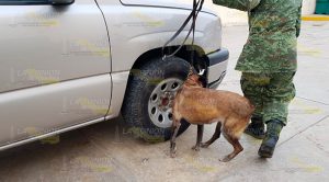 Capturan a persona de Martínez de la Torre con paquetes de droga Capturan Persona Martínez de la Torre Paquetes Droga