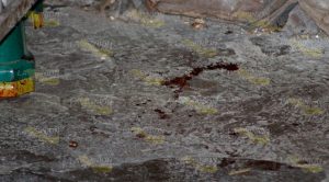 Comerciante de Papantla es baleado Comerciante Papantla Baleado