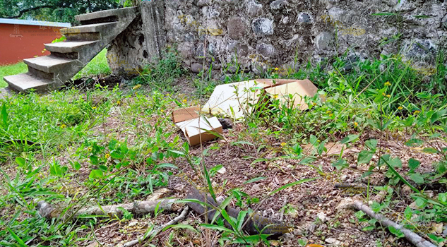 Saquean la Escuela Primaria Urbana Francisco I. Madero, tercer atentado en el último año