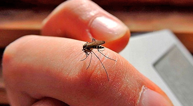 Sector Salud rechaza brote de dengue en Ignacio de la Llave, Veracruz