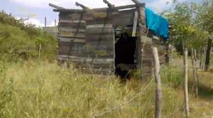 Hallan cuerpo putrefacto en Altamira Hallan Cuerpo Putrefacto Altamira