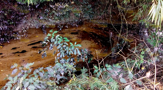 Indolencia de Pemex ante derrame en arroyo de La Ortiga, Coatzintla Indolencia Pemex Ante Derrame Arroyo La Ortiga Coatzintla