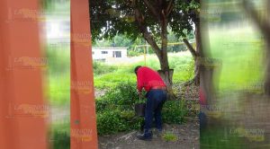 Intensifican detección y erradicación de enjambres en Cerro Azul Intensifican Detección Erradicación Enjambres Cerro Azul