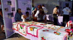 Promueven el autoempleo a través de cursos en Tlapacoyan Promueven Autoempleo Través Cursos Tlapacoyan