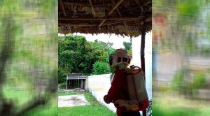 Retira Protección Civil Enjambre Vivienda Naranjos