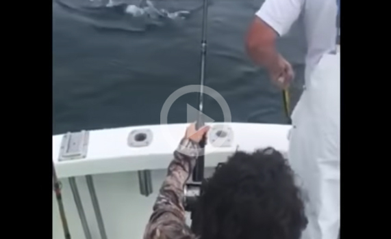 VIDEO: Un niño y su padre se encuentran con un tiburón blanco mientras están de pesca en EU