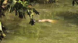 Se ahogó "El Tribilín" en El Huéleque de Poza Rica