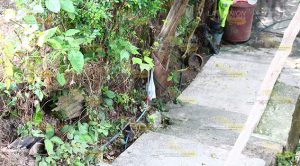 Detectan tomas de agua clandestinas