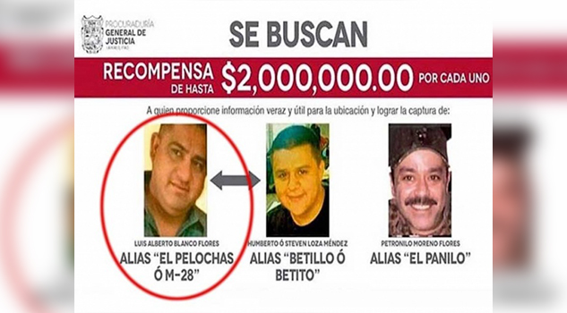 Detienen a ‘El Pelochas’ líder criminal que operaba en Reynosa