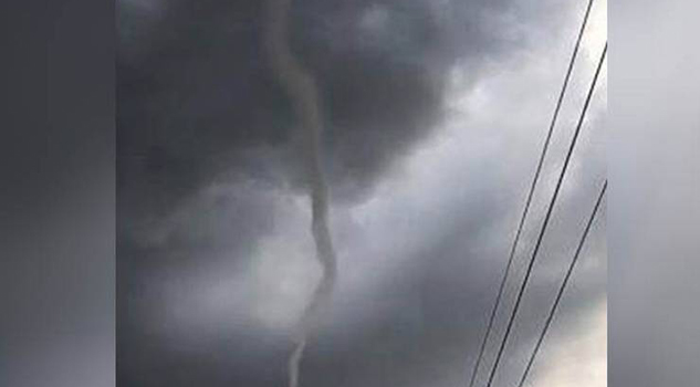 Fenómeno "Cola de Agua" deja inundaciones y árboles caídos