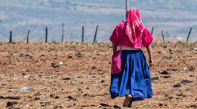 Más de 8 millones de indígenas están en la pobreza y con rezagos importantes: Coneval