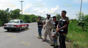Abejas atacan de nuevo en carretera federal Álamo-Alazán Abejas Atacan Nuevo Carretera Federal Álamo Alazán