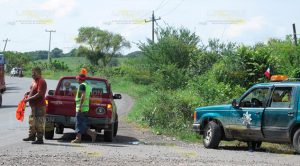 Abejas atacan de nuevo en carretera federal Álamo-Alazán Abejas Atacan Nuevo Carretera Federal Álamo Alazán