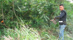 Abejas atacan de nuevo en carretera federal Álamo-Alazán Abejas Atacan Nuevo Carretera Federal Álamo Alazán