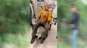 Abejas atacan de nuevo en carretera federal Álamo-Alazán Abejas Atacan Nuevo Carretera Federal Álamo Alazán