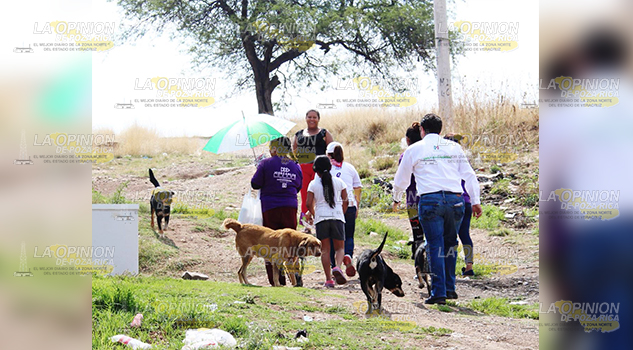 Se suman al cuidado de animales, en la villa