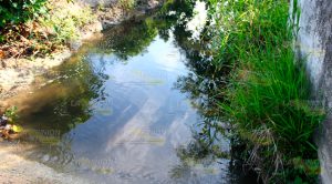 Contaminan arroyo "Frijolillo" en Emiliano Zapata, Papantla Contaminan Arroyo Frijolillo Emiliano Zapata Papantla