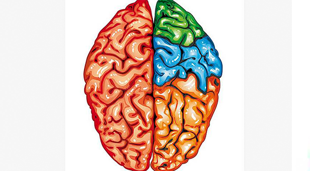 Corre, lee y dile / Una revista con mucho cerebro