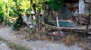 Presidentes de colonia buscan reunión con alcalde de Papantla Presidentes Colonia Buscan Reunión Alcalde Papantla (2)