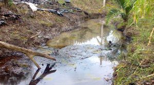 Imparable contaminación del arroyo “Los Tejones” Imparable Contaminación Arroyo Los Tejones