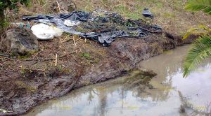 Imparable contaminación del arroyo “Los Tejones” Imparable Contaminación Arroyo Los Tejones