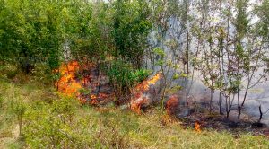Incendio se sale de control cerca de batería de Pemex Incendio Sale Control Cerca Batería Pemex