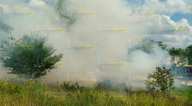 Incendio en pastizal de Álamo movilizo al Cuerpo de Bomberos Incendio en pastizal de Álamo movilizo al Cuerpo de Bomberos