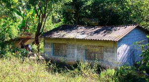 Niegan existencia de fosa clandestina en Guitérrez Zamora Niegan existencia de fosa clandestina en Guitérrez Zamora