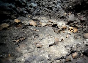 Otra prueba contundente del sacrificio humano Otra prueba contundente del sacrificio humano