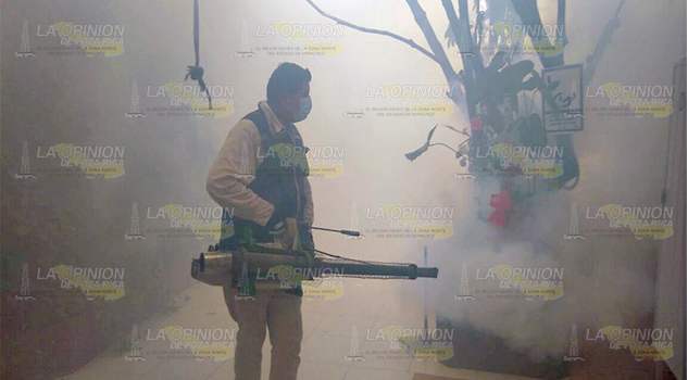 Preocupante presencia de moscos en La Uno, piden que haya fumigación
