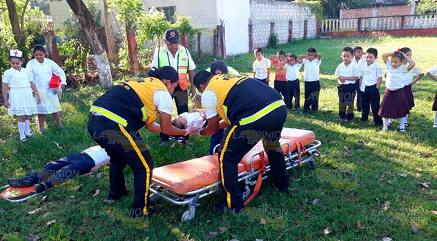 Se Ha Consolidado Cultura Prevención Naranjos