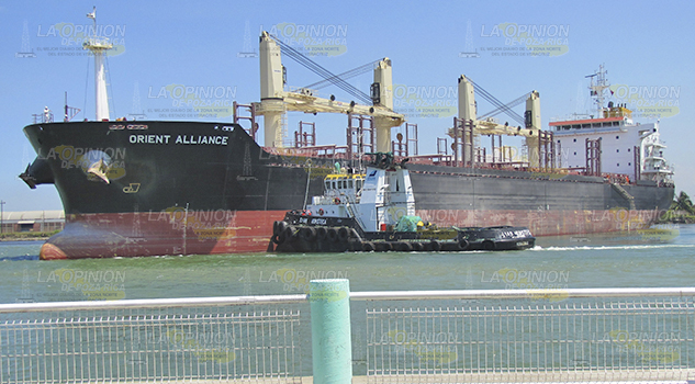 Alerta en puertos por peste porcina, autoridades federales incrementarán la vigilancia