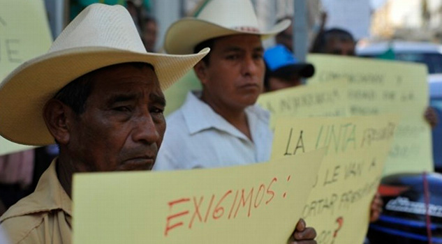 UGOCP ha presentado 20 denuncias por agresiones contra campesinos UGOCP Presentado 20 Denuncias Agresiones Contra Campesinos