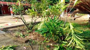 Vandalizan telesecundaria en Tihuatlán Vandalizan Telesecundaria Tihuatlán