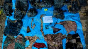 Estado de Veracruz, un cementerio Estado Veracruz Cementerio