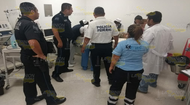 Octogenario casi pierde la vida al ser atacado por enfurecidas abejas