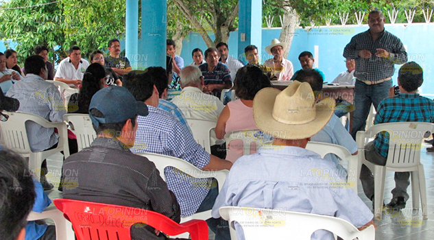 Investigarán huertos de productores afectados de Álamo