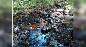 Criminal contaminación por derrame en Cerro Azul