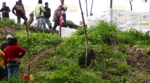 Familias de papantla recibieron documentos sin valor