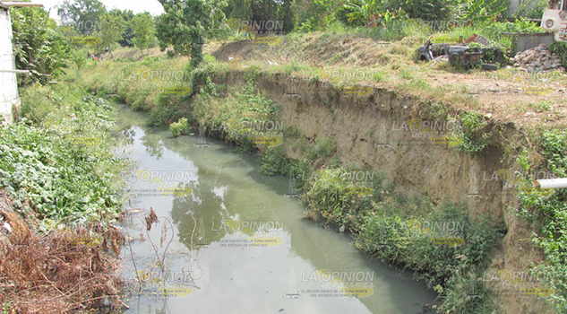 Reforzarán el canal Oro Verde