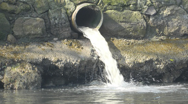 Descargas de aguas negras afectan Sistema Arrecifal de Veracruz