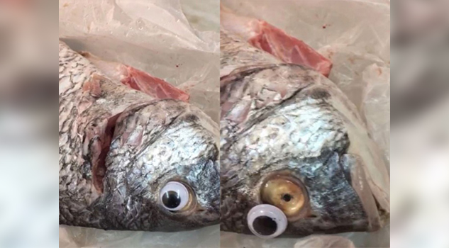 Venden pescado con ojos falsos para ocultar su mal estado