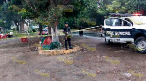 Balean a comprador de cítricos en Tlapacoyan Balean a comprador de cítricos en Tlapacoyan