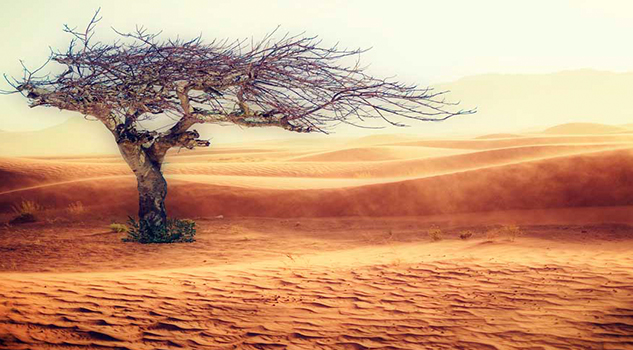 Sufrirá México el cambio climático